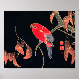 Roter Papagei Vintage Vogel Japanischer Holzschnit Poster