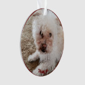 Roter Pawprint ausgefüllte Herzform, Pet Quote, Na Ornament (Vorderseite)