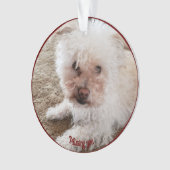 Roter Pawprint ausgefüllte Herzform, Pet Quote, Na Ornament (Vorderseite)