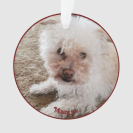 Roter Pawprint ausgefüllte Herzform, Pet Quote, Na Ornament