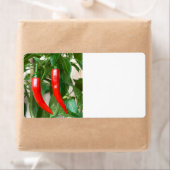 Roter Pfeffer (Insitu)