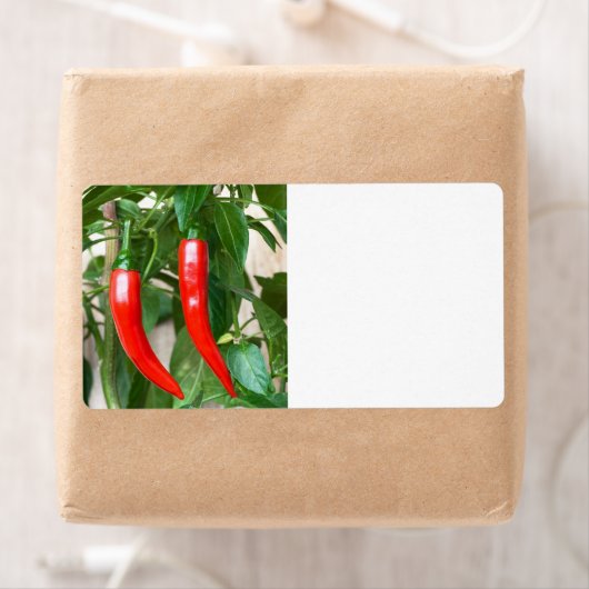 Roter Pfeffer (Insitu)