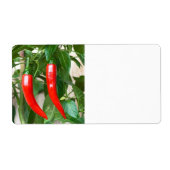 Roter Pfeffer (Vorne)