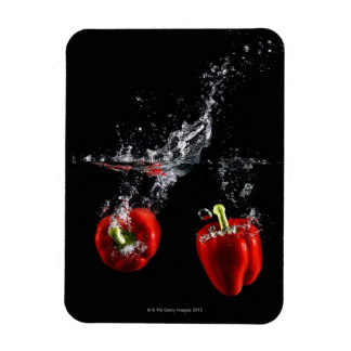 roter Pfeffer in Wasser Magnet