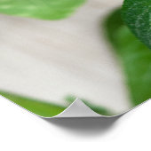 Roter Pfeffer Poster (Ecke)