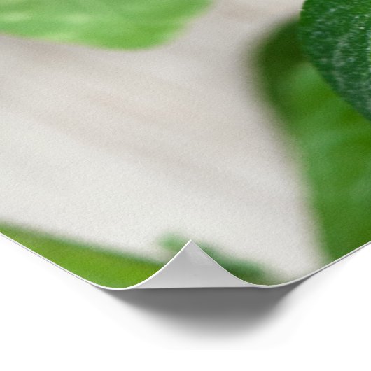 Roter Pfeffer Poster (Ecke)