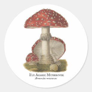 Roter Pilz Magic Vintage-Druck Runder Aufkleber