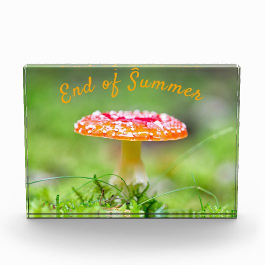 Roter Pilzfall Ende Sommer Fotoblock (Vorderseite)