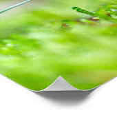 Roter Pilzpilz zum Ende des Fotos Poster (Ecke)