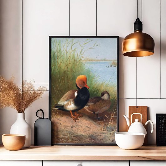 Roter Pochard (1913) Poster