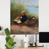 Roter Pochard (1913) Poster (Heimbüro)