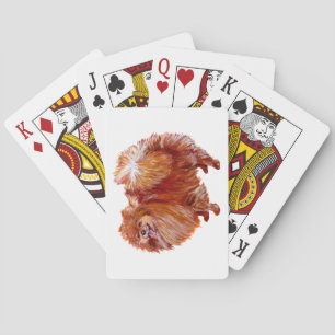 Roter Pomeranian Spielkarten