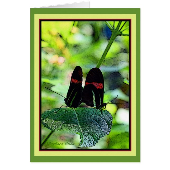 Roter Postman: Schmetterling (Vorne)