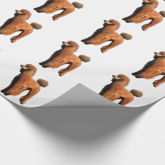 roter Pudel Geschenkpapier (Ecke)