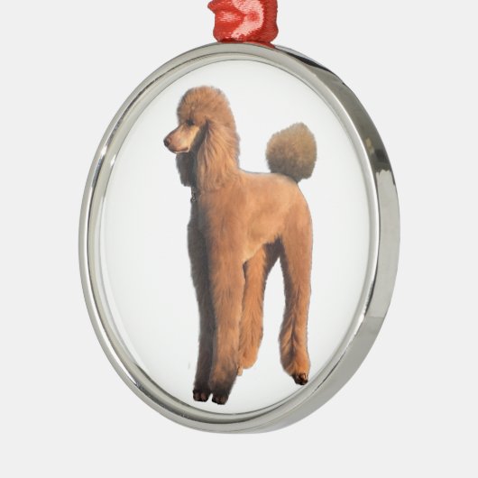 roter Pudel Silbernes Ornament (Links)