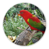 Roter Regenbogen Lorikeet Parrot, Keramikknauf (Vorderseite)