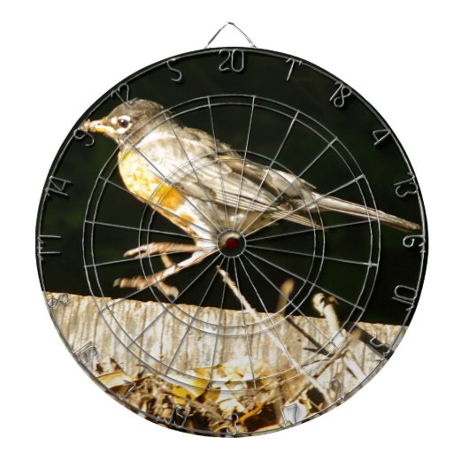 Roter Robin Bobbin Dartscheibe (vorne)