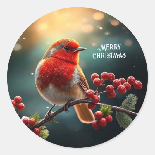 Roter Robin-Feiertagsaufkleber Runder Aufkleber (Vorderseite)