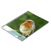 Roter Robin Notizblock (Linke Seite)