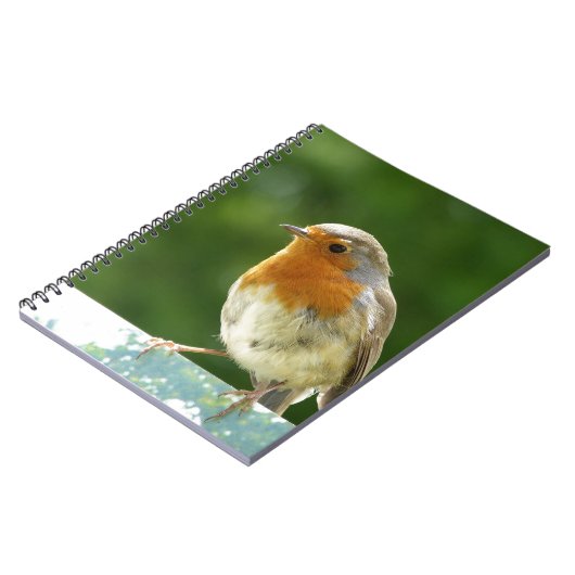 Roter Robin Notizblock (Linke Seite)