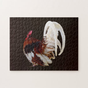 Roter Rooster mit Federn aus weißem Schwanz Puzzle