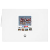 Roter Rosa Flamingos im Wasser Grußkarte (Rückseite Horizontal)