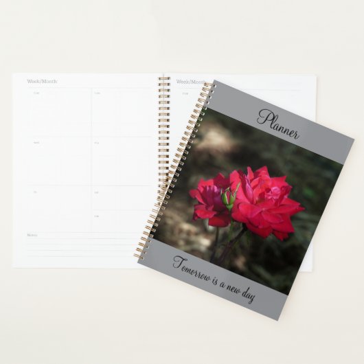 Roter Rosen Planer (Anzeige)