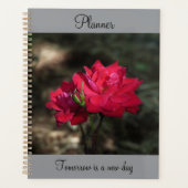 Roter Rosen Planer (Vorderseite)