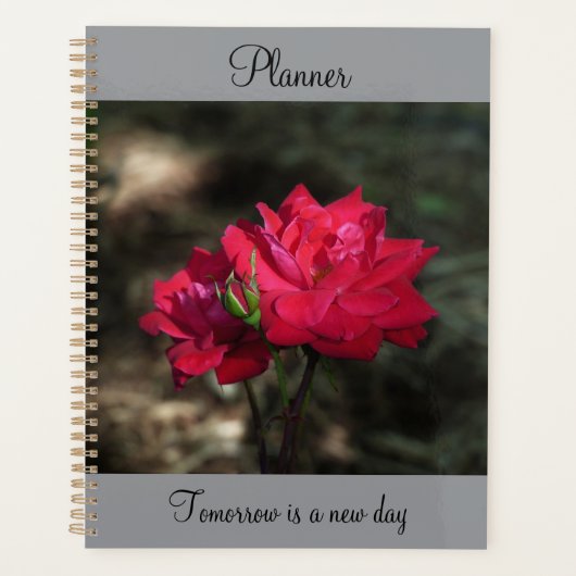 Roter Rosen Planer (Vorderseite)