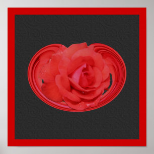 Roter Rosen Regentropfen Design Florales Poster