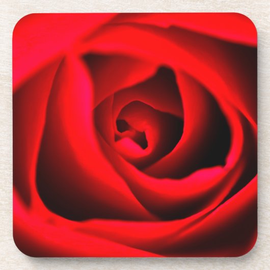 Roter Rosenblumen-Untersetzer Getränkeuntersetzer (Vorderseite)