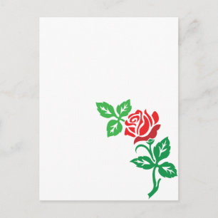 Roter Rosenblüten-Design – Klassische Blumenpracht Postkarte