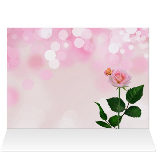 Roter Rosengarten mit Blank-Tabby-Katze (Innenansicht Horizontal (Oben))