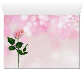 Roter Rosengarten mit Blank-Tabby-Katze (Innenansicht Horizontal (Unten))