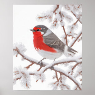 Roter Rotkehlchen-Vogel im Schnee Poster
