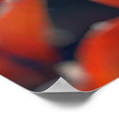 Roter Rowan Poster (Ecke)