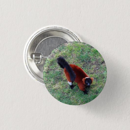 Roter Ruffer Lemur #1 Pinback Button (Vorne & Hinten)