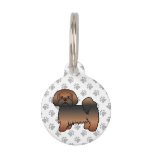Roter Sable Lhasa Apso Süßer Hund & Infos zu Haust Haustiermarke