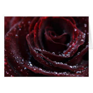 Roter Samt