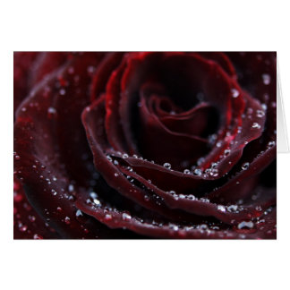 Roter Samt