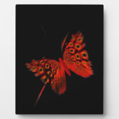 Roter Schmetterling Fotoplatte (Vorderseite)