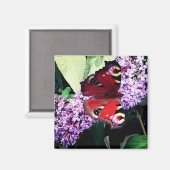 Roter Schmetterling Magnet (Vorderseite/Rückseite)