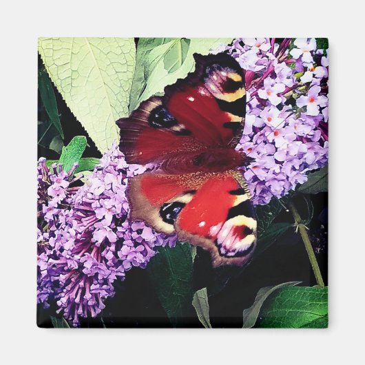 Roter Schmetterling Magnet (Vorne)