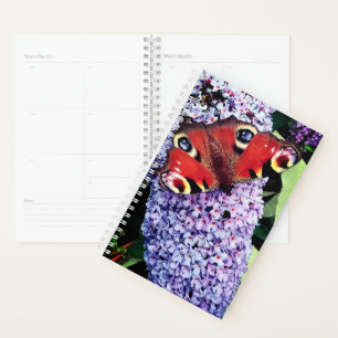 Roter Schmetterling Planer