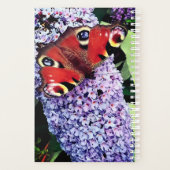 Roter Schmetterling Planer (Rückseite)