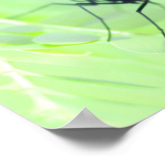 Roter Schmetterling, ... Poster (Ecke)