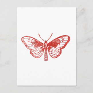 Roter Schmetterling Postkarte