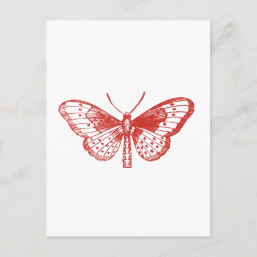 Roter Schmetterling Postkarte (Vorderseite)