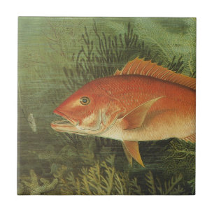 Roter Schnapperfisch von Kilbourne, Vintage Meeres Fliese