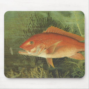 Roter Schnapperfisch von Kilbourne, Vintage Meeres Mousepad